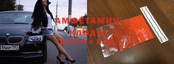 гашик Осинники