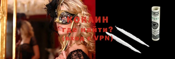 гашик Осинники