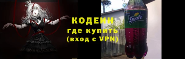 гашик Осинники