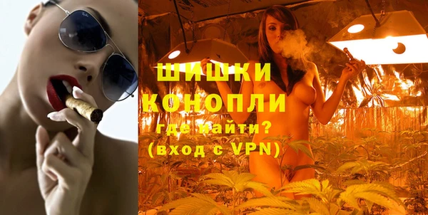 гашик Осинники
