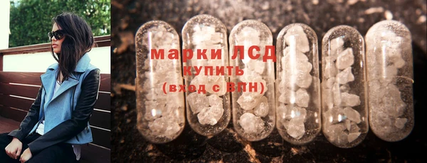 гашик Осинники