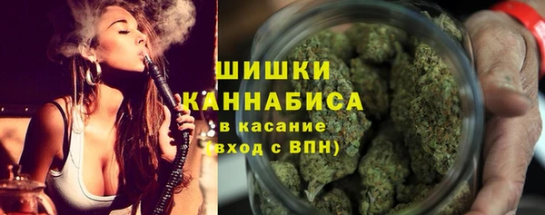 гашик Осинники