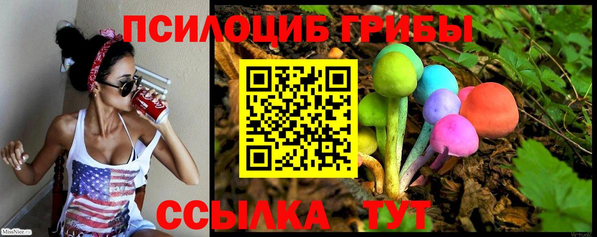 Псилоцибиновые грибы Psilocybe Алатырь