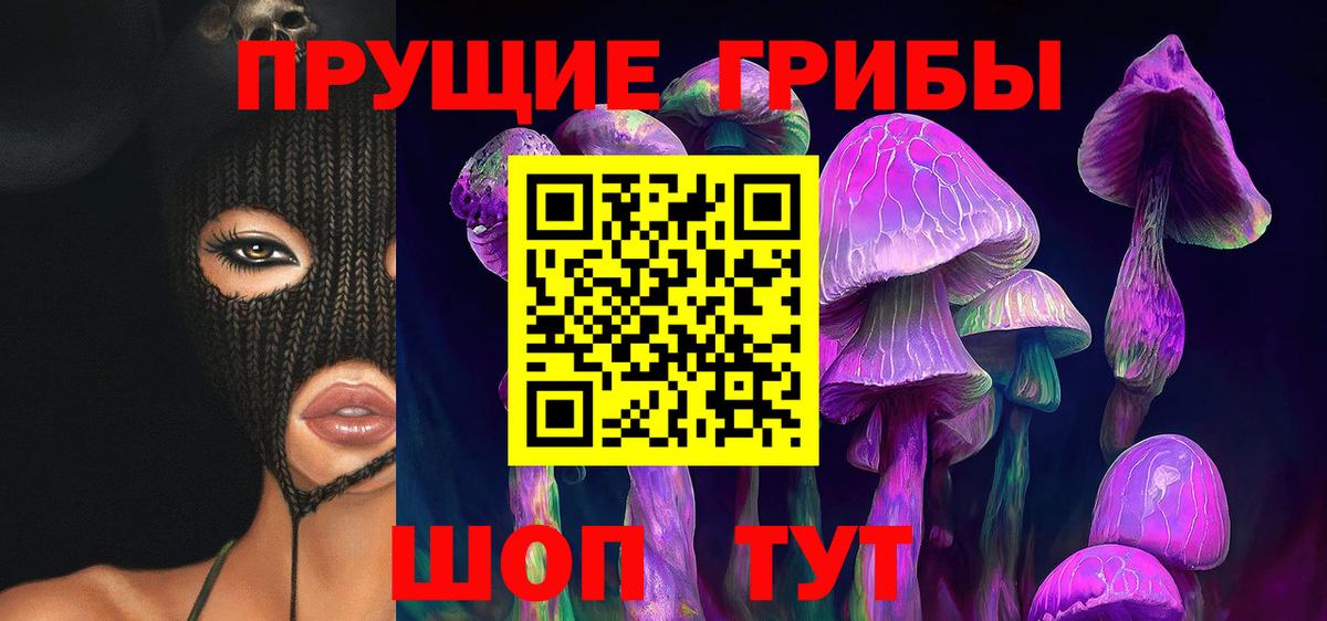 Псилоцибиновые грибы GOLDEN TEACHER  Вход с VPN  Алатырь 