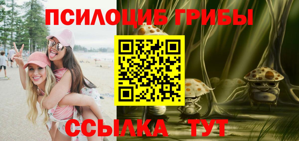 Галлюциногенные грибы мицелий  Вход с VPN  Алатырь 