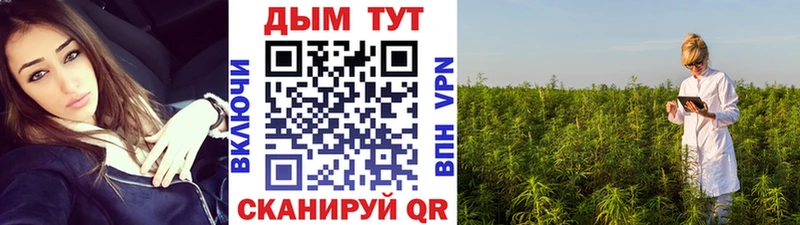 купить   Алатырь  Канабис ГИДРОПОН 